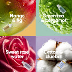 The Black Friday Hand Wash Bundle