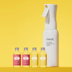 Foaming Washing Up Spray Discovery Kit